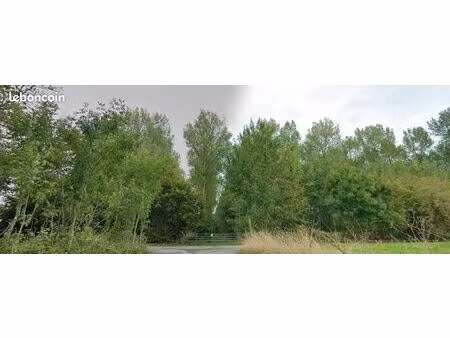 pleupleraie