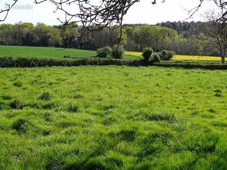 terrain 1440 m² rieux
