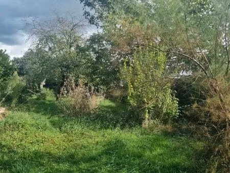 terrain 1 328 m² saint symphorien d ancelles