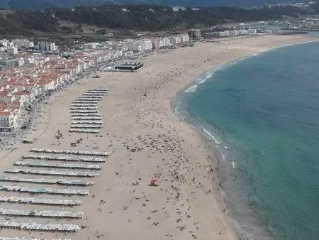 recherche location maison ou appartement