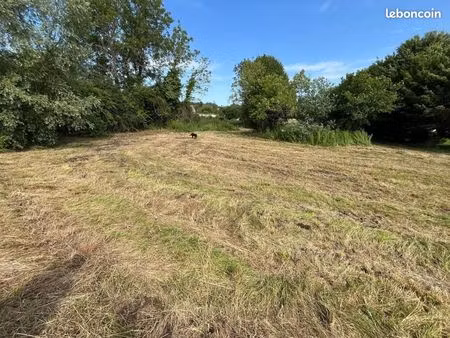 terrain 13 100 m² escarmain