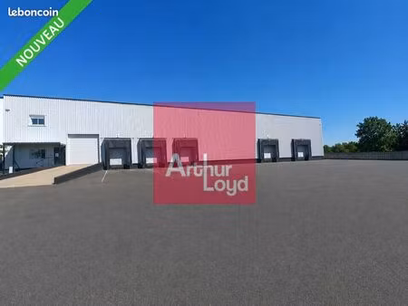 local industriel 4 331 m²