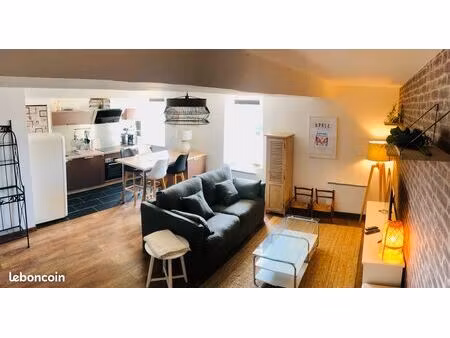 appartement duplex de 58m2 / vendu meublé tout confort
