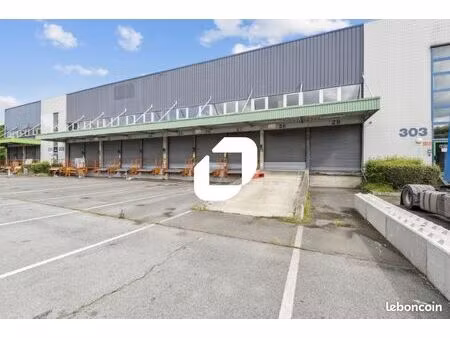 local industriel 11 369 m²