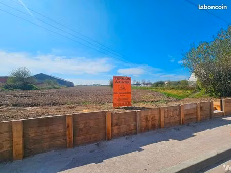 terrain 4996 m² st martin au laert
