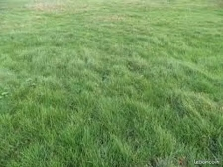 terrain 588 m² le teich