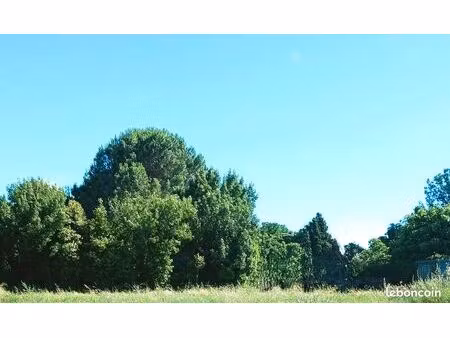 terrain 1 000 m² bompas