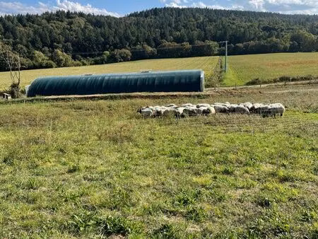 terrain agricole