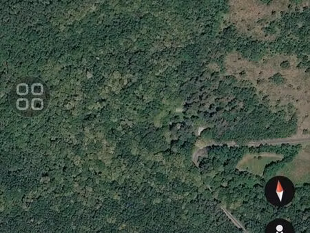 parcelles forestières