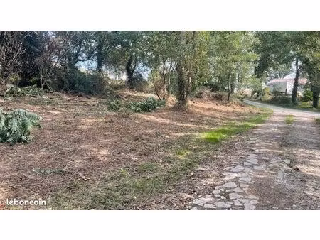 terrain cadalen 81600