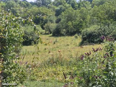 maison dans un environnement naturel exceptionnel  avec grande dépendance  proche de toute