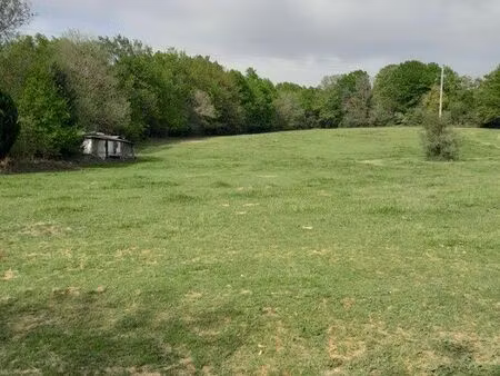 terrain (la mole )