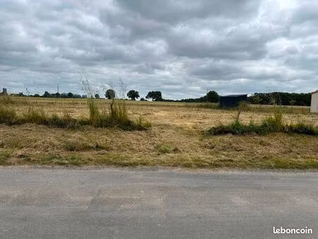terrain constructible