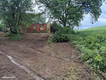 terrain de loisir arboré – briatexte (la marounie)