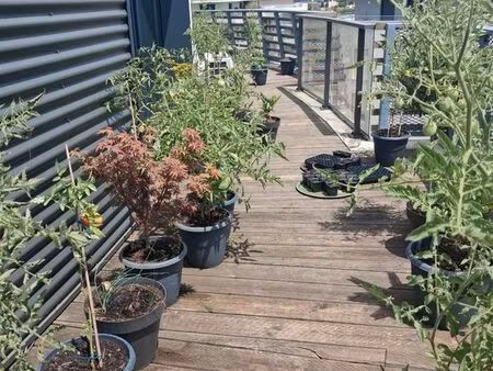 appartement t3 + terrasse