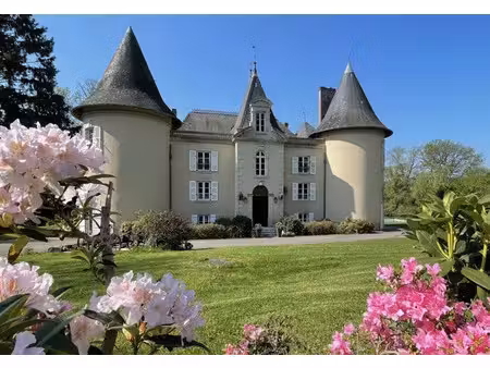 vente château 30 pièces 671 m² à saint-hilaire-bonneval (87260)  995 000 €