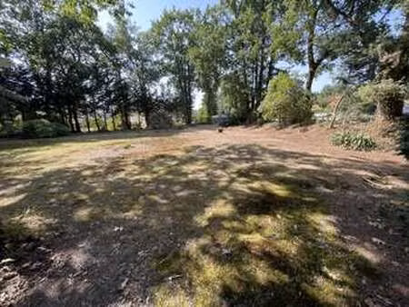 vente terrain à saint-aignan-grandlieu (44860) : à vendre / 1001m² saint-aignan-grandlieu