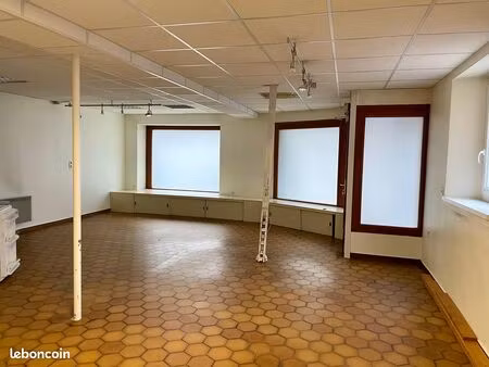local professionnel – idéal bureaux ou activités de services