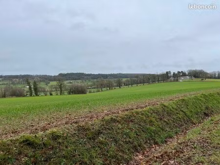 à vendre 6ha de terrain agricole la croixille (53)- mayenne