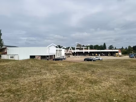 vente locaux professionnels 3 pièces 1120 m² à sully-sur-loire (45600)  407 000 €