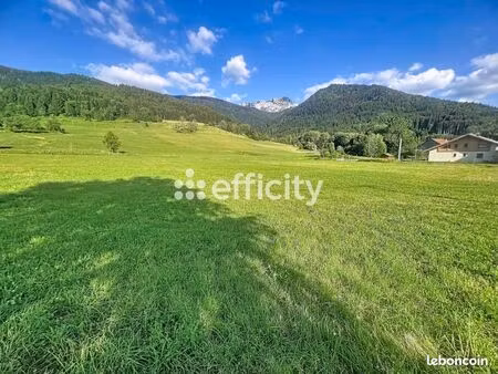 terrain agricole 16 205 m² megevette
