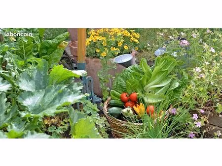 jardin