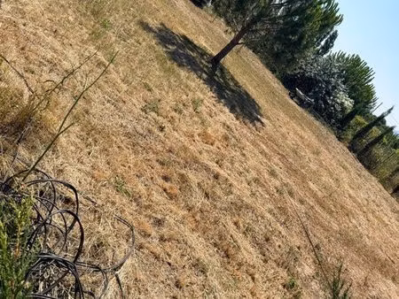 terrain à louer