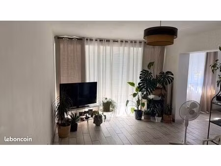 appartement - 4 pièces - 70 m²