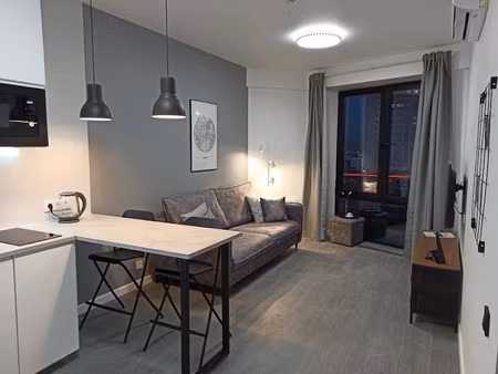 location meublée appartement 2 pièces 36 m² à lyon 7ème (69007)  527 €