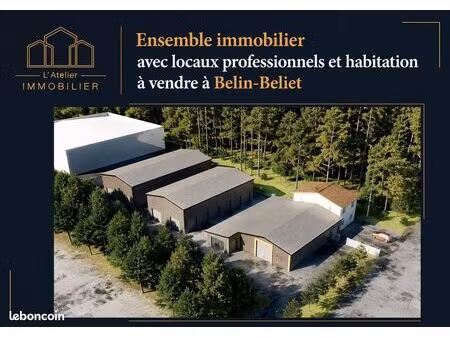 local 860 m² mios