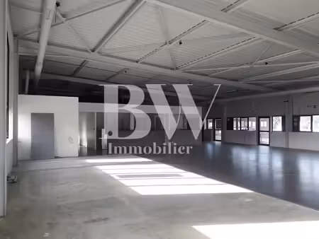 local commercial à louer ? jusqu'à 755 m² divisibles selon vos besoins à landerneau ? réf.