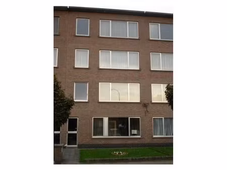 rez-de-chaussée à louer à sprinkhaanveldestraat 28 borsbeek (rwc43014)