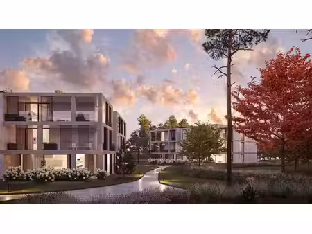 rez-de-chaussée à vendre à dennendreef 24 vosselaar (rbw41015)