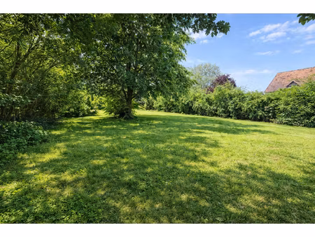 terrain constructible