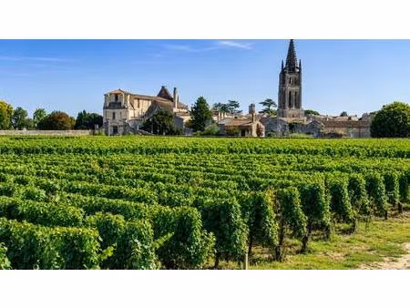 propriété viticole en appelation saint émilion et saint émilion grand cru