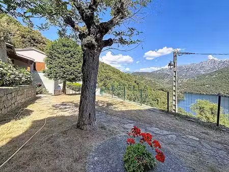 location meublée maison 3 pièces 71 m² à tolla (20117)  995 €