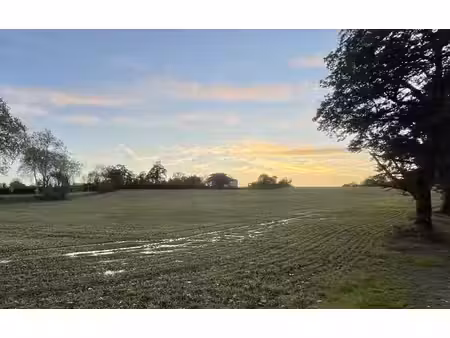 terrain