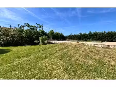 terrain