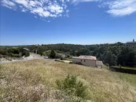 terrain