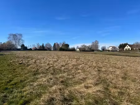 terrain