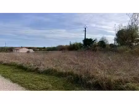 terrain