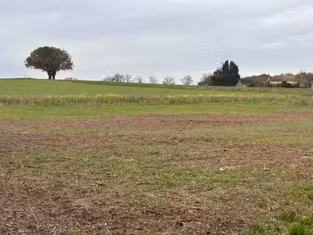 terrain à vendre