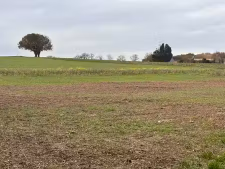 terrain