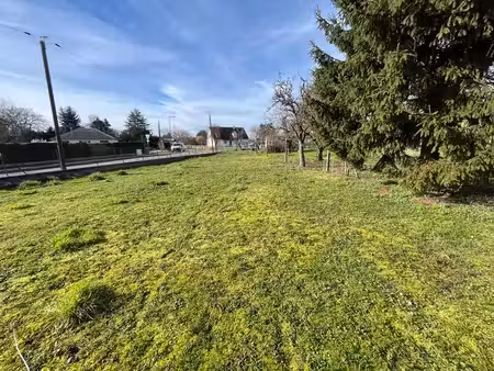 terrain