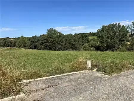 terrain