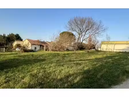 terrain