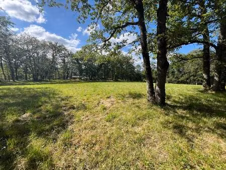 terrain à vendre