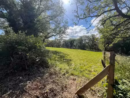 terrain