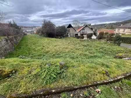 terrain