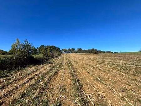 terrain à vendre